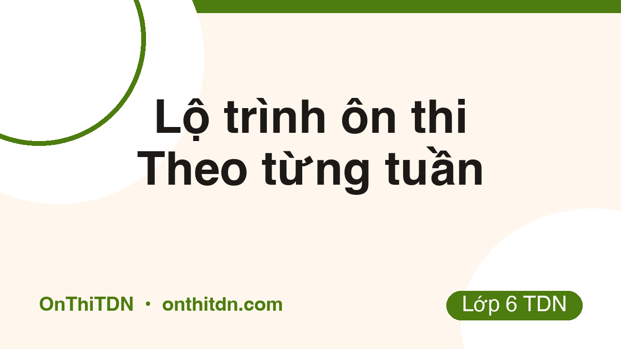 Kế hoạch học mỗi ngày, mục tiêu tuần và dự đoán điểm thi trên OnThiTDN.